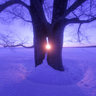 HARUNIRE of winter