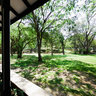 Cinnamon Lodge Junior suite view