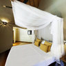 Chaaya Wild Jungle chalet