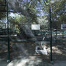 Dubai Zoo