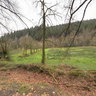 Cardinham Woods - 360 Panoramas