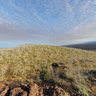 Galapagos - Tagus Cove (caleta) - Isabela Island