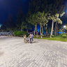 Baku - Night Bouleward