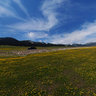 赛里木湖（Sayram Lake）