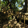 Old Sugar Mill