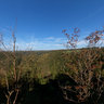 Monschau - Dreistegen - Rock Ehrensteinsley - Viewpoint - Jahrhundertweg - Eifel
