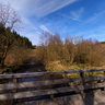 Monschau - Kalterherberg - Timber Bridge in the Perlenbachtal in the Eifel