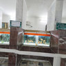 The Fish Hall - Al-Zawraa zoo