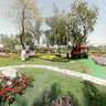 Flower Garden 2