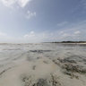 Jambiani beach