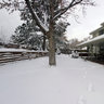 2011 12-22 Christmas Snow Storm in Englewood, Colorado