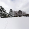 2011 12-22 Christmas Snow Storm in Englewood, Colorado