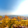 View from Svetice