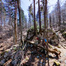 'Vihoraški put' hiking trail - 2