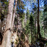 'Vihoraški put' hiking trail - 4