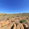 Joshua Tree National Park in Spring
