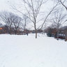 central park 3