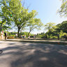Kissina Park