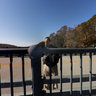 Img 9972 Panorama Ps
