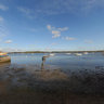 Wadringfield Shore and the river Deben