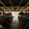 bikes in the Groeningen station