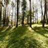parco pubblico a Vipiteno - Südtirol