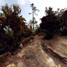 Belvedere su Sestri