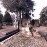 Crying Statue in Monumental Cemetery