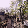 cimetière de Montmartre