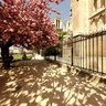 park near Notre Dame cathedral