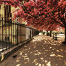 Beautiful Paris