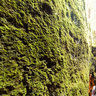 grotte di Rescia