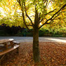 picnic area in Dublin Zoo
