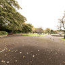 St.Stephen's Green