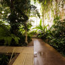 Palm House in National Botanic Gardens
