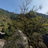 Kangra Bir Boulders