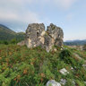 Bzyb. The ruins of medieval church-fortress. (2010)