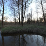The river Ovsorok in village Sudimir (2009)