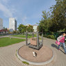 Memorial to Junior Research Scientist