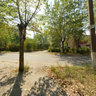 Jungle on Butlerov Street