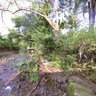 Yeoor Hills Thane