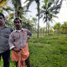 Toddy Farm