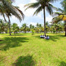 palm grove, christ university, kengeri