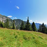 Schellalm