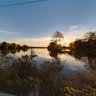 Petrie Island