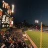 Comerica Park left field