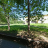 Konakovo - Wild pears grove