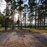 Konakovo - Pinery