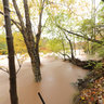 Peak Leafs...  High Water