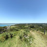 Tutukaka